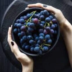 'Vanessa' Seedless Outdoor Grape Vine -Greenzy Sales Store FRU0063 2