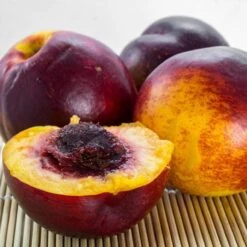 The 3 Best Fruits To Grow In Pots | Nectarine, Fig & Blueberry -Greenzy Sales Store FRU0140 1 561976aa 3a41 4efc bcd6 02411302aa0e