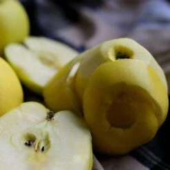 Herefordshire Russet Apple Tree -Greenzy Sales Store FRU0200 2