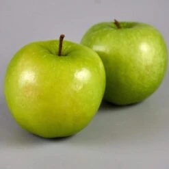 Granny Smith Apple Tree 8 Granny Smith Apple Tree -Greenzy Sales Store FRU0227 3