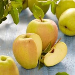 Golden Delicious Apple Tree -Greenzy Sales Store FRU0229 2