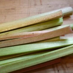 'Victoria' Rhubarb Plant -Greenzy Sales Store VEG0187 3
