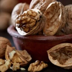 Greenzy Sales Store -Greenzy Sales Store walnut 2